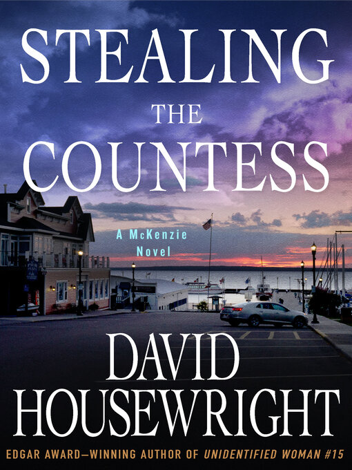 Cover image for Stealing the Countess